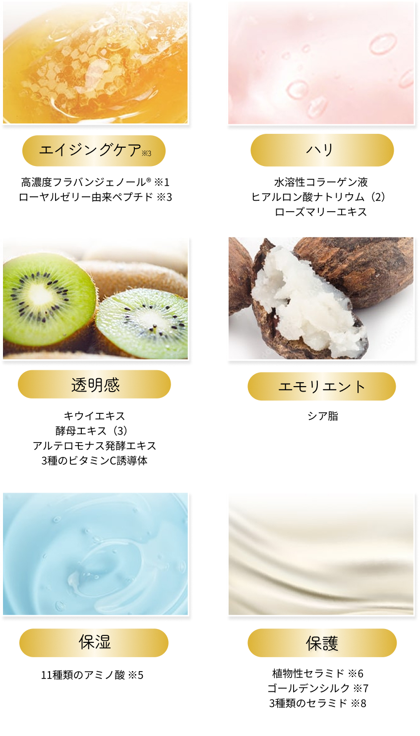 成分表グリッド