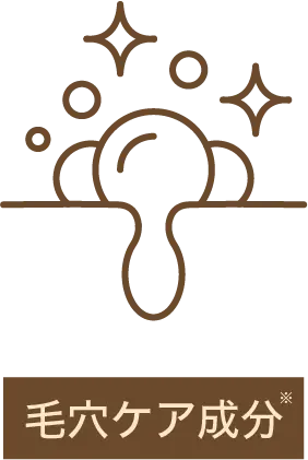 毛穴ケア成分