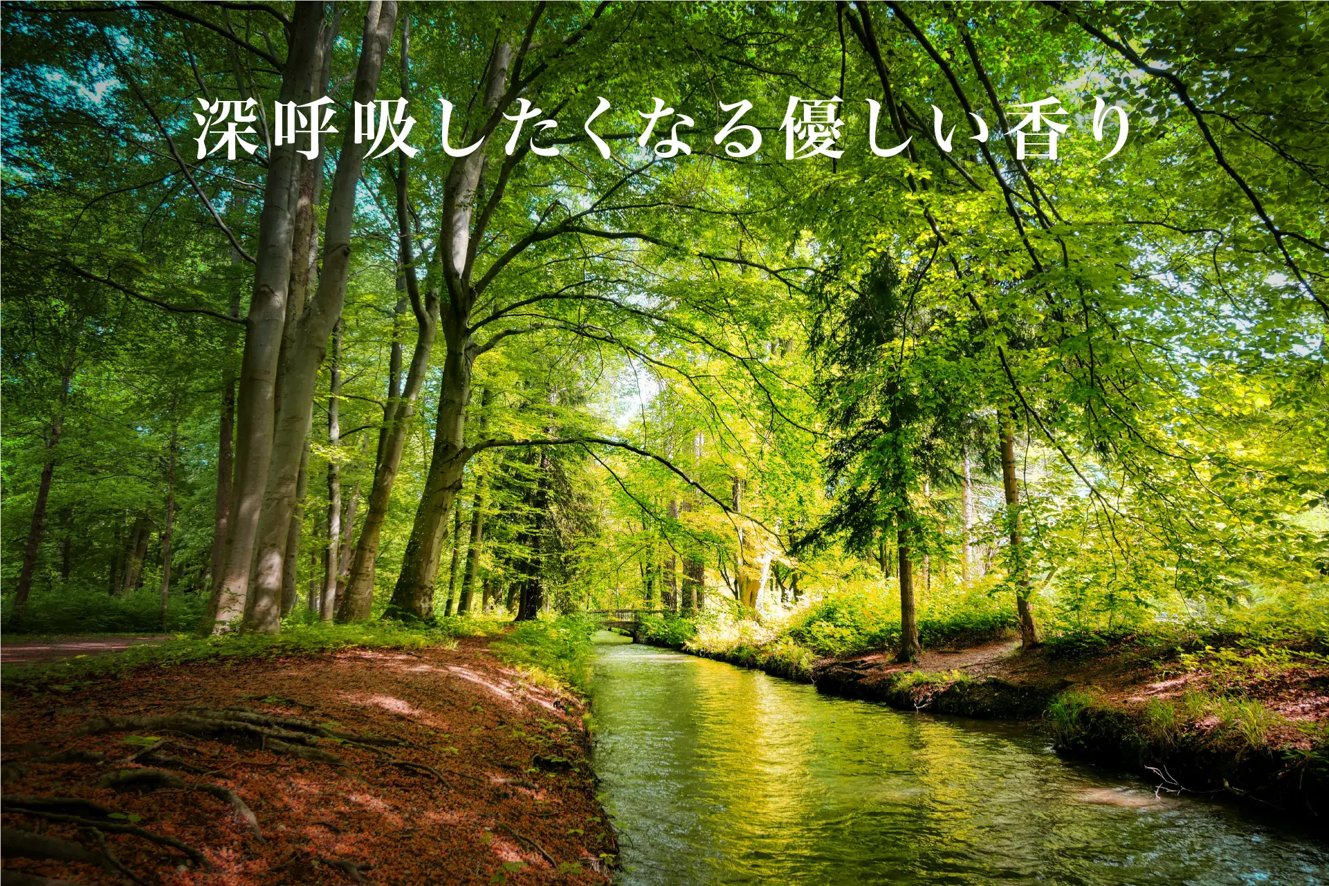 深呼吸したくなる優しい香り