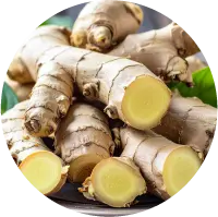 ショウガ根エキス