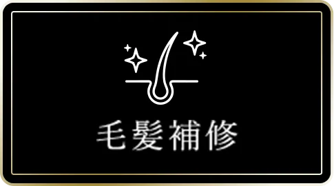 毛髪補修