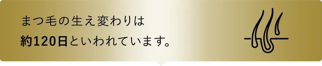 まつ毛の生え変わりは約120日と言われています。