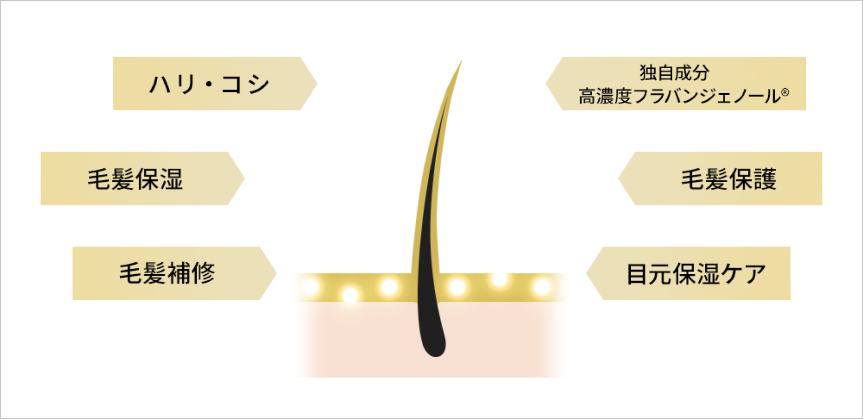 全方位美容ケア設計
