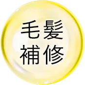 毛髪補修