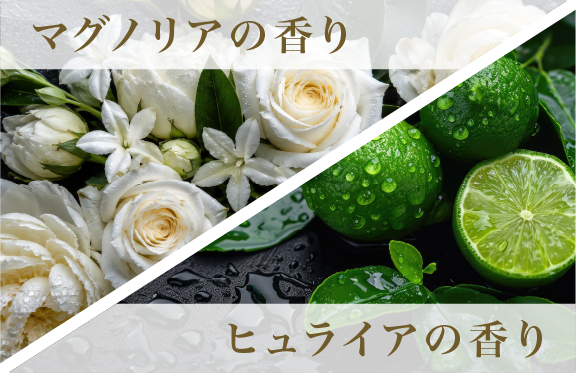 マグノリアとヒュライア