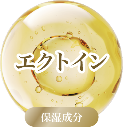 エクトイン