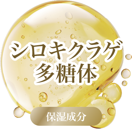 シロキクラゲ多糖体
