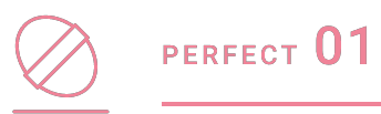 PERFECT 01