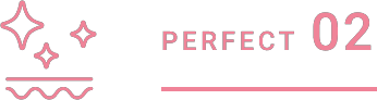 PERFECT 02