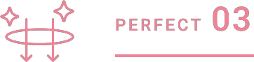 PERFECT 03