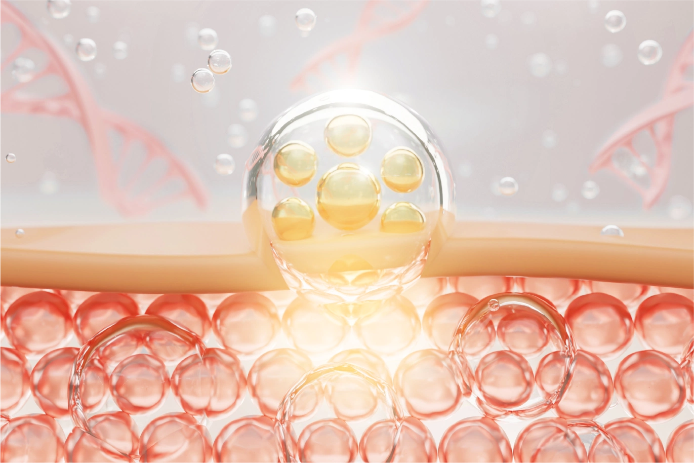 乾燥小ジワにアプローチイメージ画像