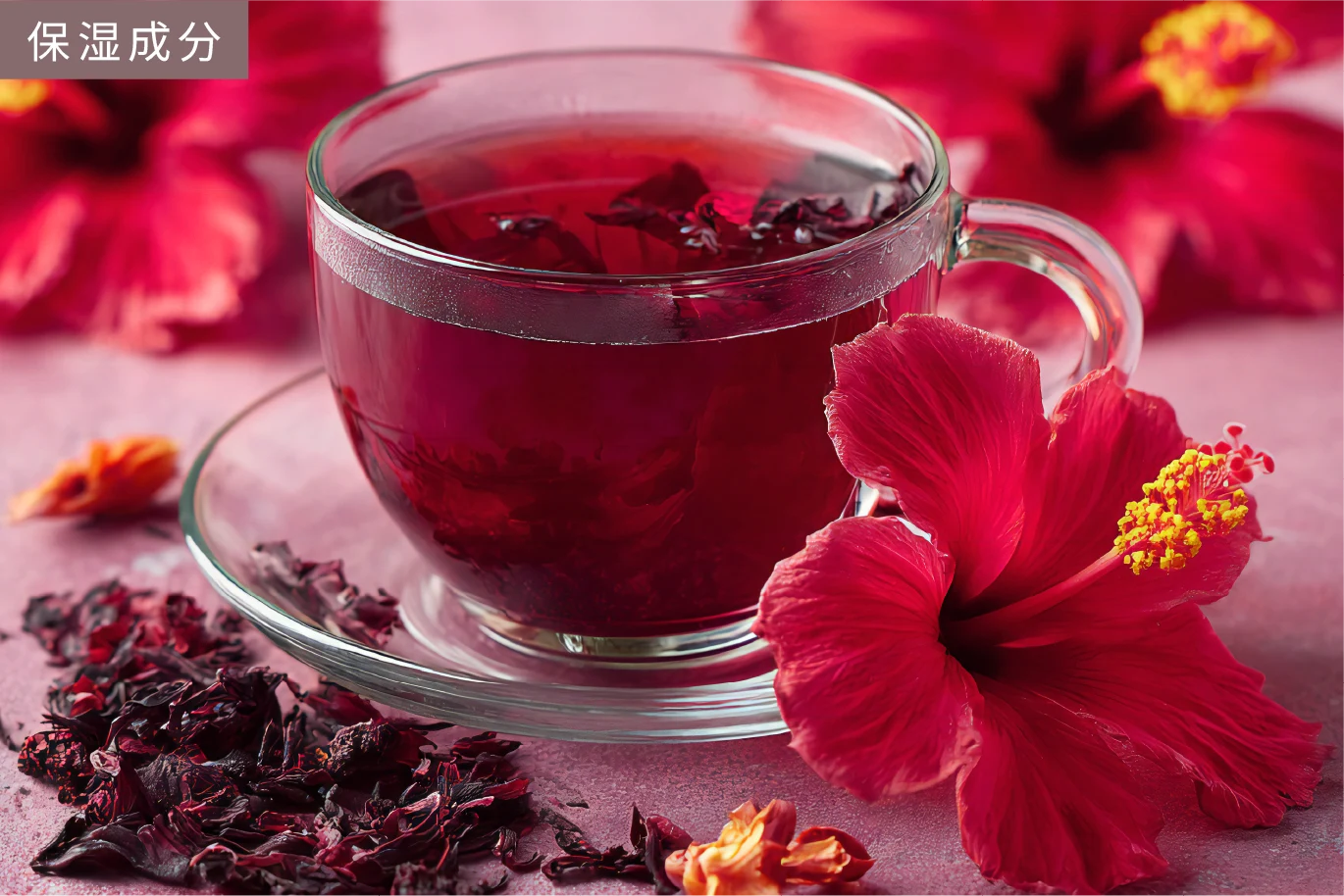 ハイビスカス花発酵液イメージ画像