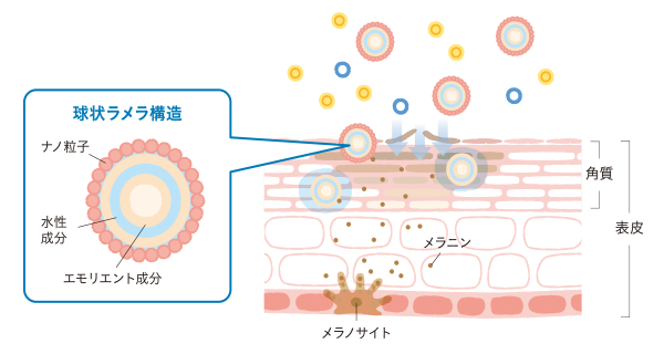 ラメラ・ブースター処方