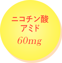 ニコチン酸アミド60mg