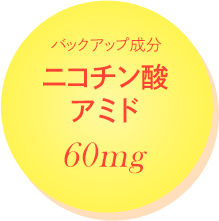 バックアップ成分 ニコチン酸アミド 60mg