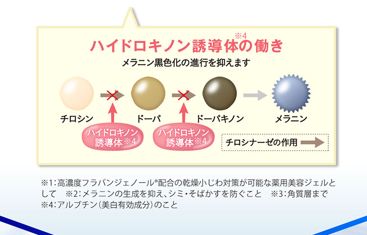 ハイドロキノン誘導体の働き